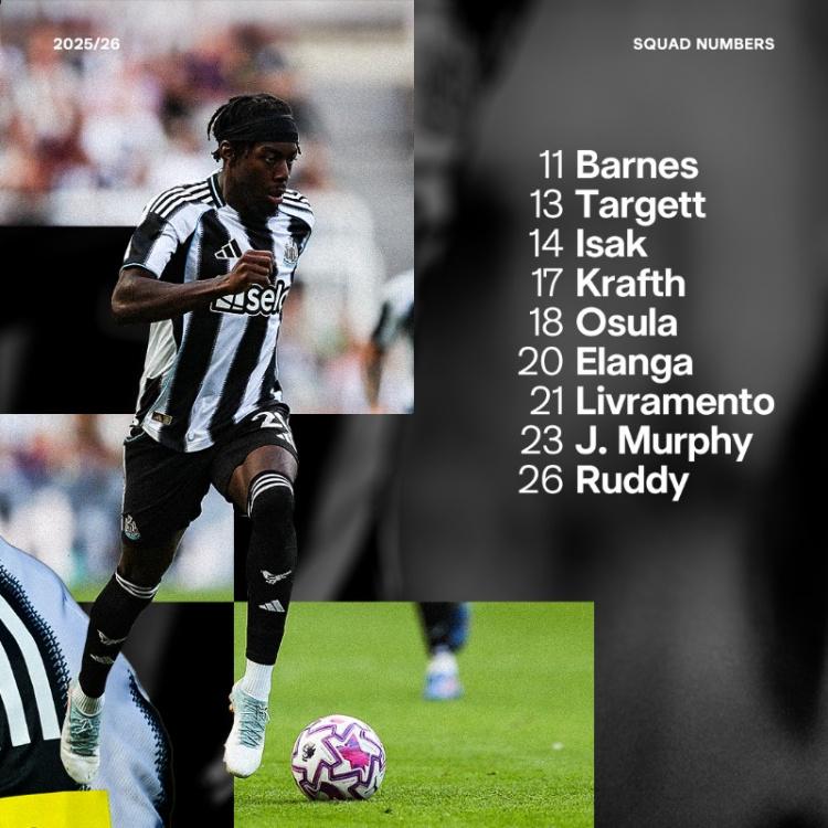 博特曼, dingy, vqll