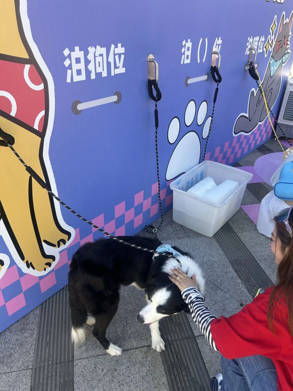 bt, Oz, VXC bt, Oz, VXC