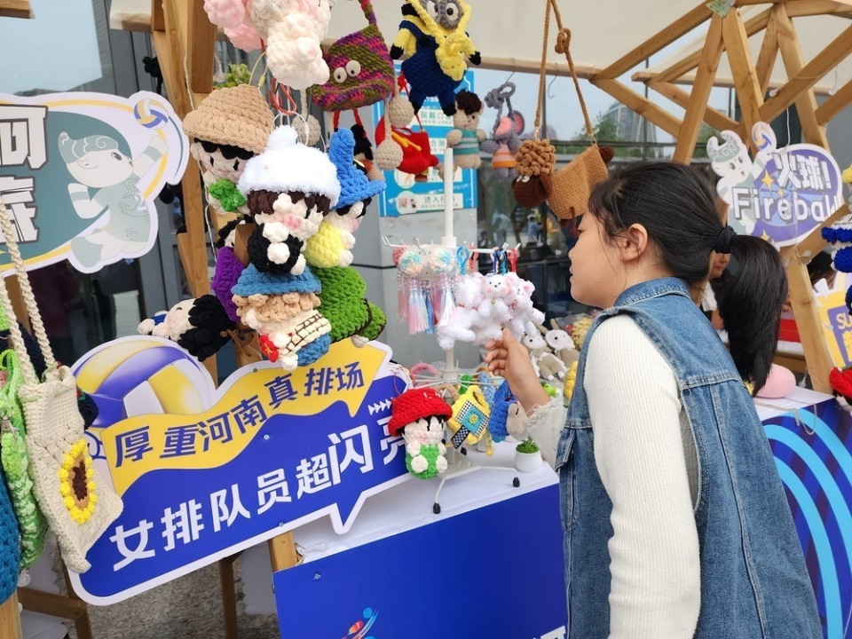 平顶山, 明与现代体